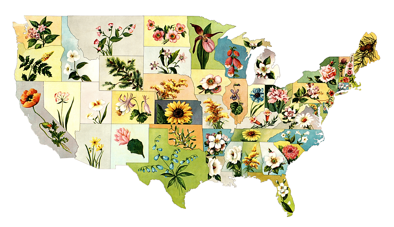 United-States-Map-of-Flowers